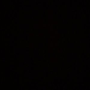 Meet your Posher, Noahlynn